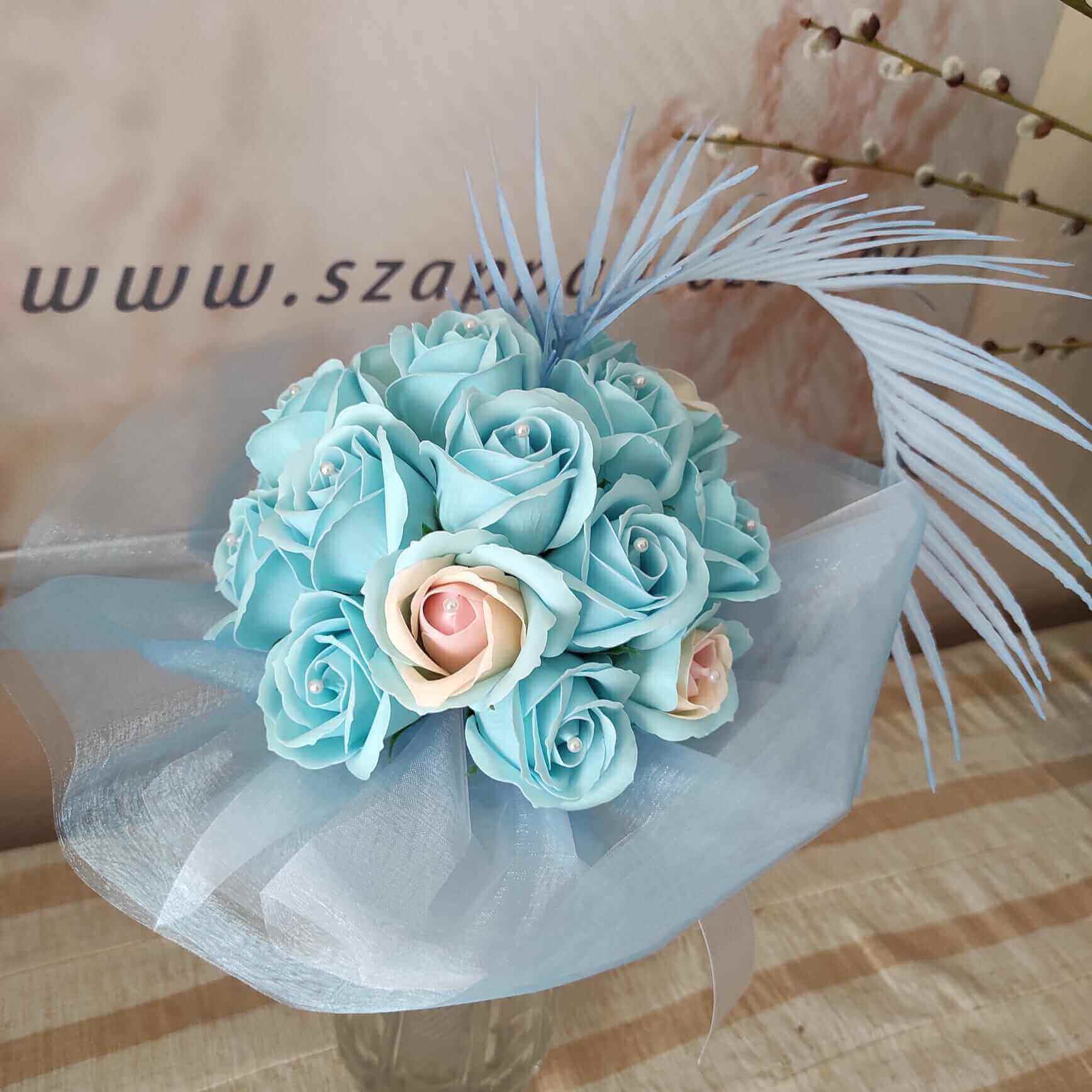cs008 1